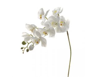7A03N00011 Орхидея белая 105 см (6)
